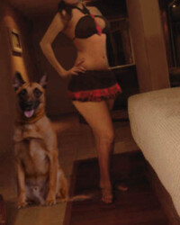 album-cover