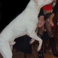 razvratnici's Avatar