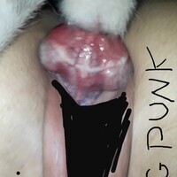 Willd3883's Avatar