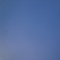 Carcrashdummy's Avatar