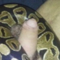 Dogcravinock91's Avatar