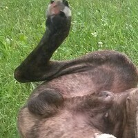 meinmat's Avatar