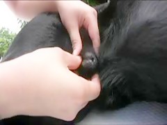 Japan Girl and Dog Cum