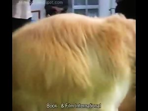 Beastiality Live Show Compilation