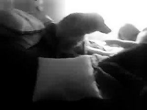 Mi mujer le hace una paja al perro
