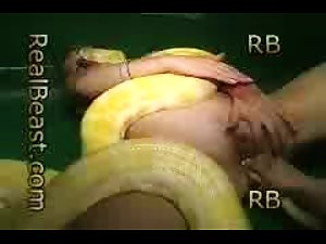 Snake room 9