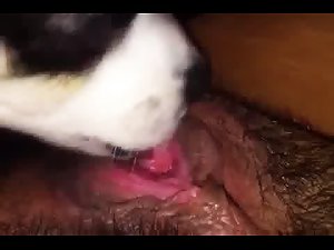 Su hocico en mi conejo