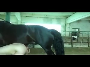 Recibiendo a un gran animal