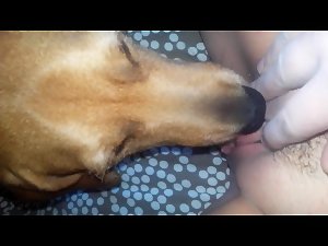 Un chocho muy gordo