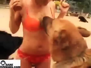 Feeding animals