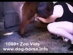 Jugando con el mini pony