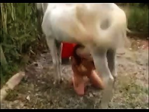 C700 - Sonia Filled With White Stallion Cum