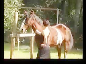 Laura Horse Bitch 1