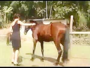 Laura Horse Bitch 2