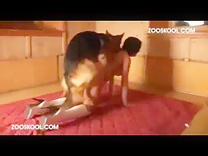 Zooskool - Stray X - The Record - Part 7