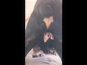 The sofa is a good place to fuck 