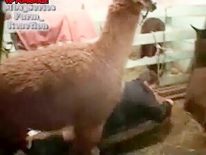 Farm sex slow motion