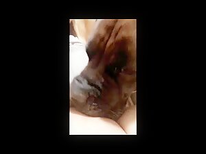 Compilation dog sucking girl's pussy PT 1