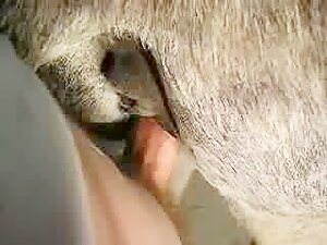 Thumb 5
