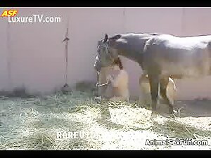 Tied and fucked by animals