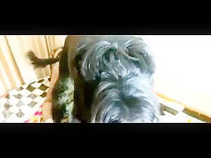 Thumb 7