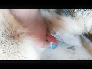 Thumb 4