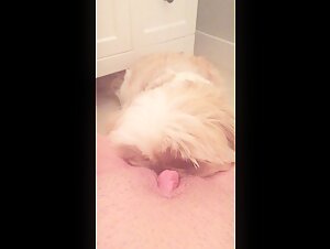 Bathroom lick