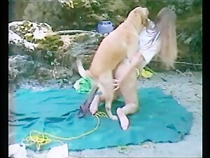 Dona de casa trepa com dog nas pedras da praia