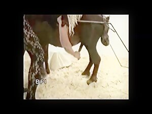 Euro Video - Mustang Explosions