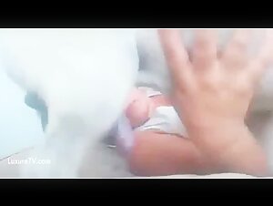 Thumb 3