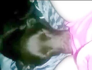 Lab licks pussy deep