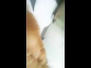 Amateur milf selfie dog fuck