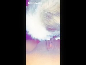 dog lick pussy
