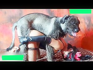 这是雪瑞纳犬吗屌挺长知道回复一下