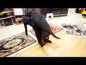 国内真实人兽交新作品，135部，加qq2645926416