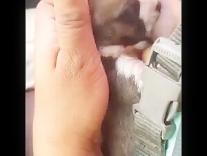 Thumb 3