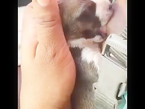 Thumb 5