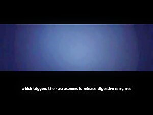 An Introduction to Sex with Dogs: A Guide for Women (2022)