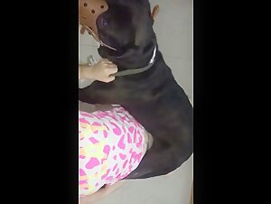 中国16岁女孩大黑狗狗交直播大喊叫狗趴sh