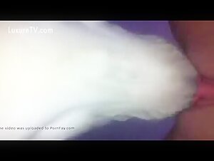 .pussylick