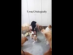 Group sex dog take turns NO MERCY