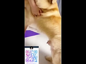 Thumb 6