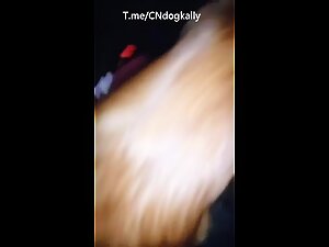 Chinese couple do bestiality in car